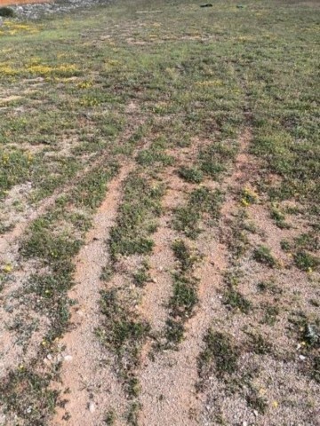 du quad traces incontournables